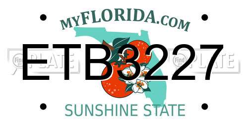 ETB3227 Florida License Plate
