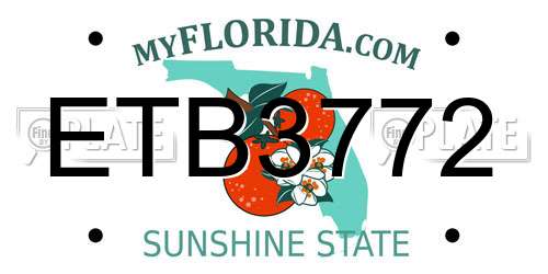 ETB3772 Florida License Plate