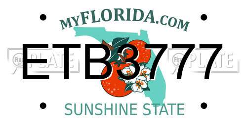 ETB3777 Florida License Plate