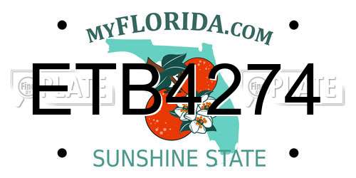 ETB4274 Florida License Plate