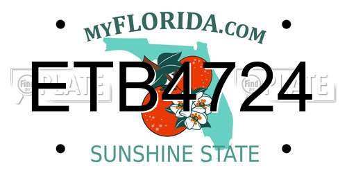 ETB4724 Florida License Plate