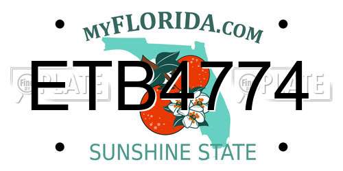 ETB4774 Florida License Plate