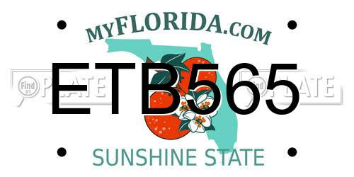 ETB565 Florida License Plate