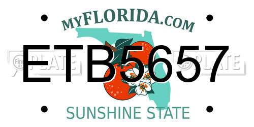 ETB5657 Florida License Plate