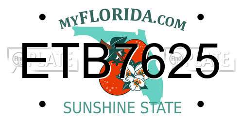 ETB7625 Florida License Plate