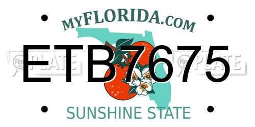 ETB7675 Florida License Plate