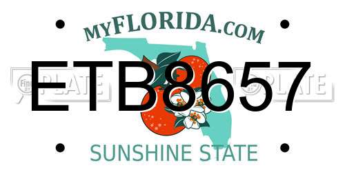 ETB8657 Florida License Plate