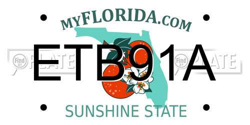 ETB91A Florida License Plate