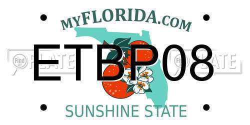 ETBP08 Florida License Plate