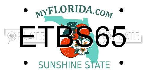 ETBS65 Florida License Plate