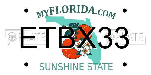 ETBX33 Florida License Plate