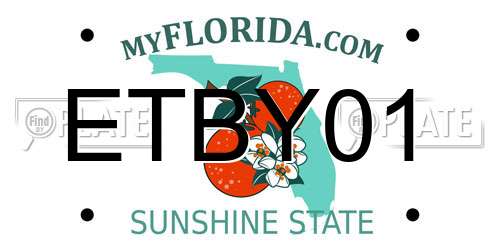 ETBY01 Florida License Plate