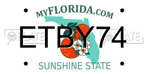 ETBY74 Florida License Plate