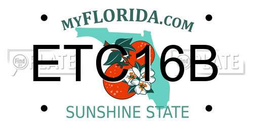 ETC16B Florida License Plate