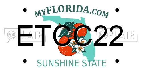 ETCC22 Florida License Plate