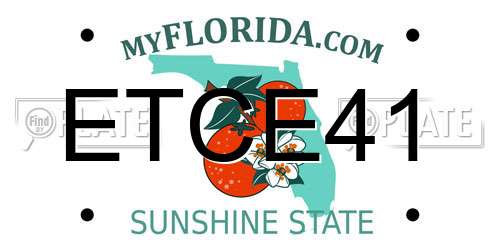 ETCE41 Florida License Plate
