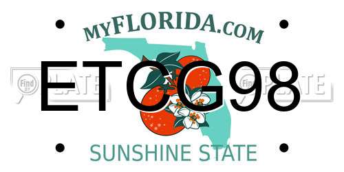 ETCG98 Florida License Plate