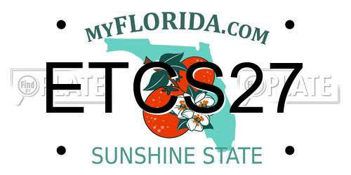 ETCS27 Florida License Plate