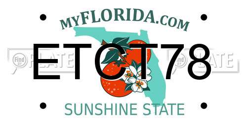 ETCT78 Florida License Plate