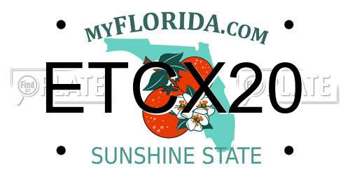 ETCX20 Florida License Plate