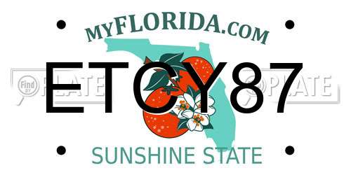 ETCY87 Florida License Plate