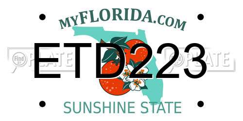 ETD223 Florida License Plate