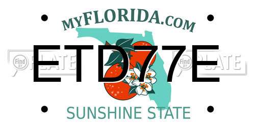 ETD77E Florida License Plate
