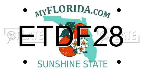 ETDF28 Florida License Plate