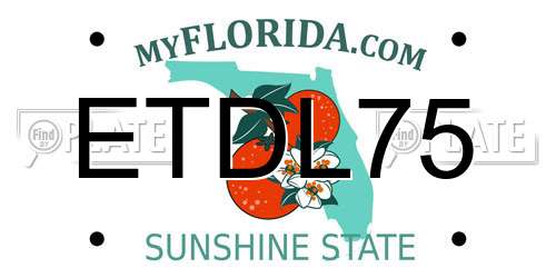 ETDL75 Florida License Plate