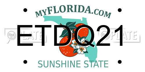 ETDQ21 Florida License Plate