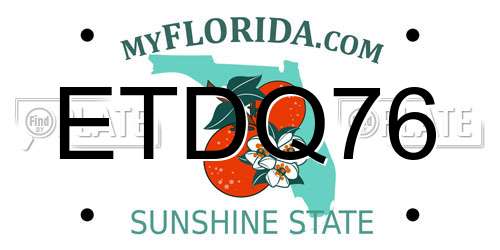 ETDQ76 Florida License Plate