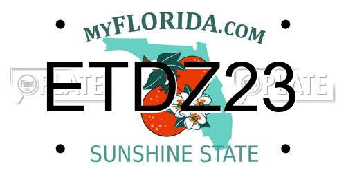 ETDZ23 Florida License Plate
