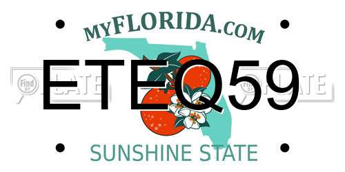ETEQ59 Florida License Plate