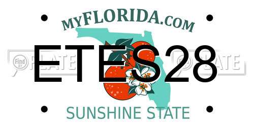 ETES28 Florida License Plate