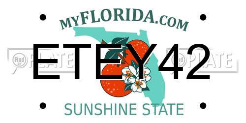 ETEY42 Florida License Plate