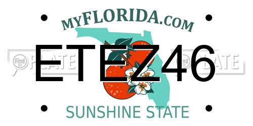 ETEZ46 Florida License Plate