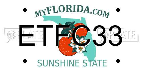 ETFC33 Florida License Plate