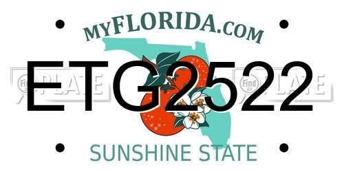 ETG2522 Florida License Plate
