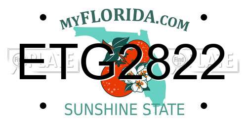 ETG2822 Florida License Plate