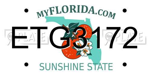 ETG3172 Florida License Plate