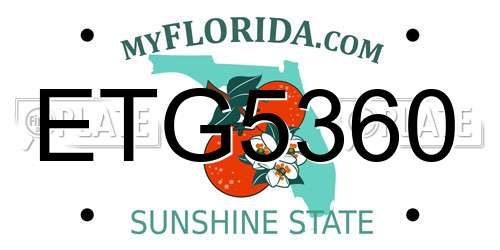 ETG5360 Florida License Plate