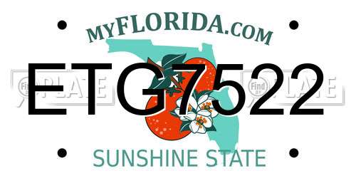 ETG7522 Florida License Plate