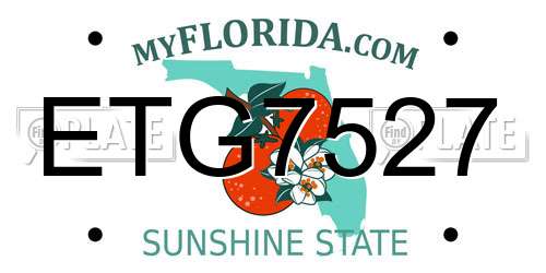 ETG7527 Florida License Plate