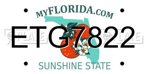 ETG7822 Florida License Plate