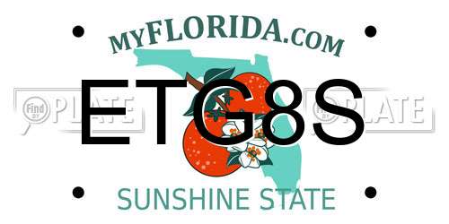 ETG8S Florida License Plate
