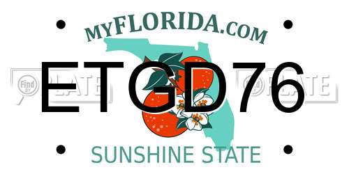 ETGD76 Florida License Plate