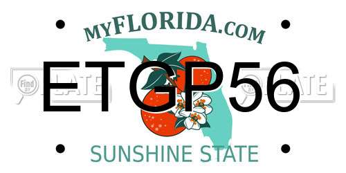 ETGP56 Florida License Plate