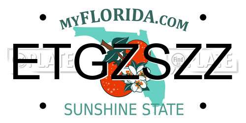 ETGZSZZ Florida License Plate