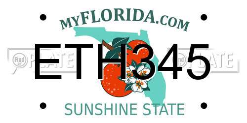 ETH345 Florida License Plate