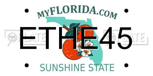 ETHE45 Florida License Plate